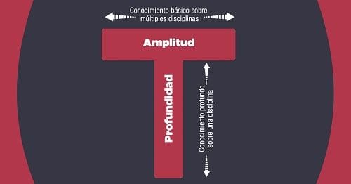 T conocimientos